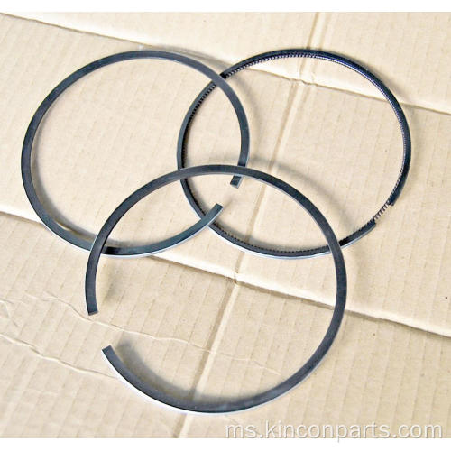 Engine Piston Ring Steyr